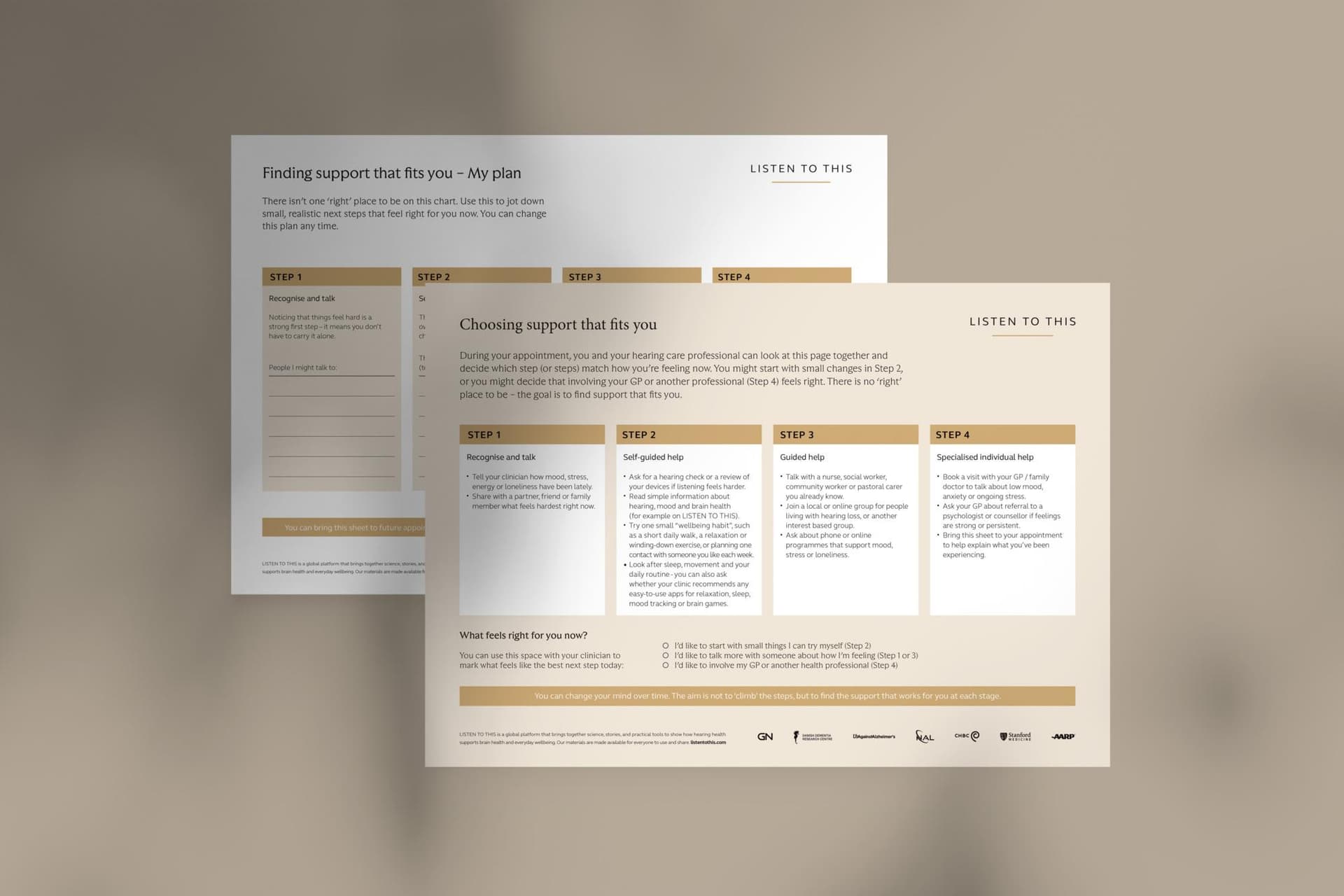 Stepped Care Tool One-Pager